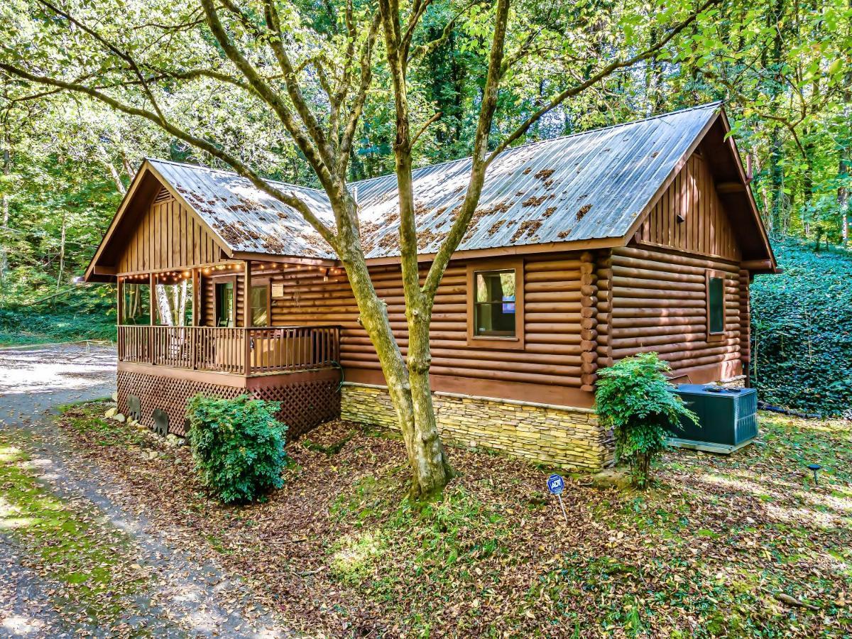 Bear Nakid Vila Pigeon Forge Exterior foto