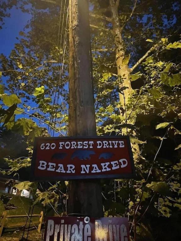 Bear Nakid Vila Pigeon Forge Exterior foto